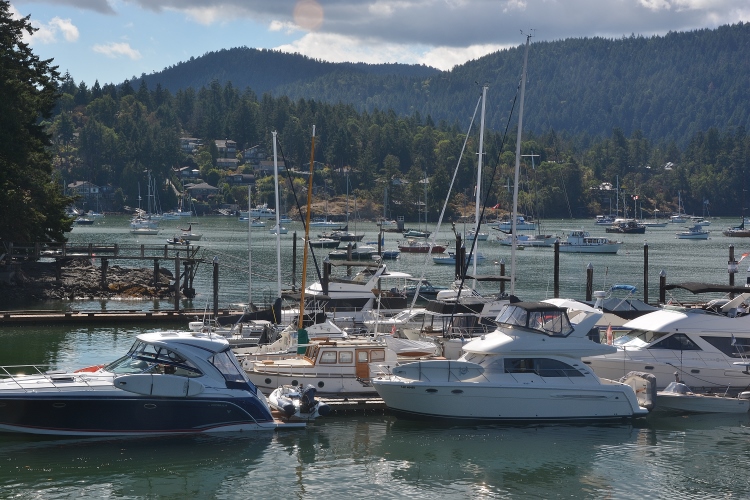 harbor scene